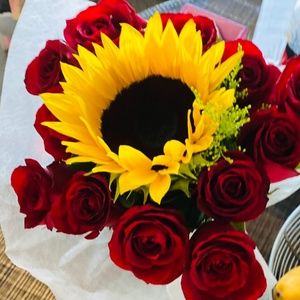 Meet your Posher, Karla